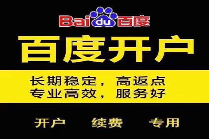 百度推广费用投入与转化率提升的经典案例