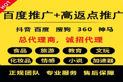 某品牌SEM推广代运营的实践与效果评估